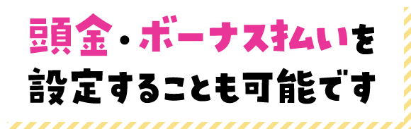 頭金・ボーナス払いを設定することも可能です